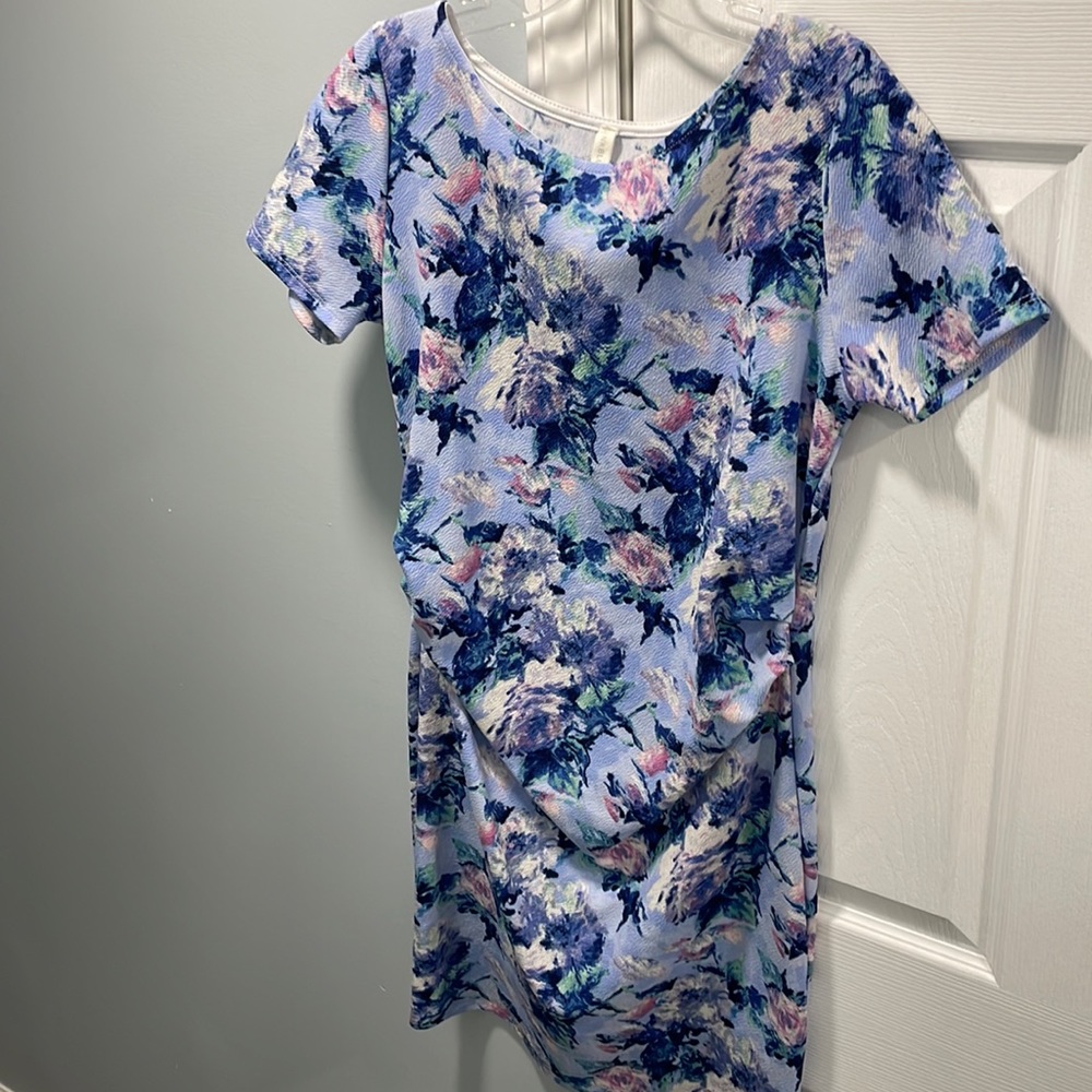 Pinkblush Blue Floral Maternity Dress